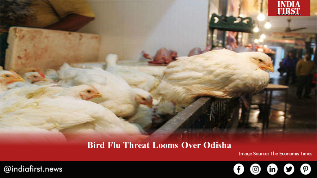 Bird Flu Threat