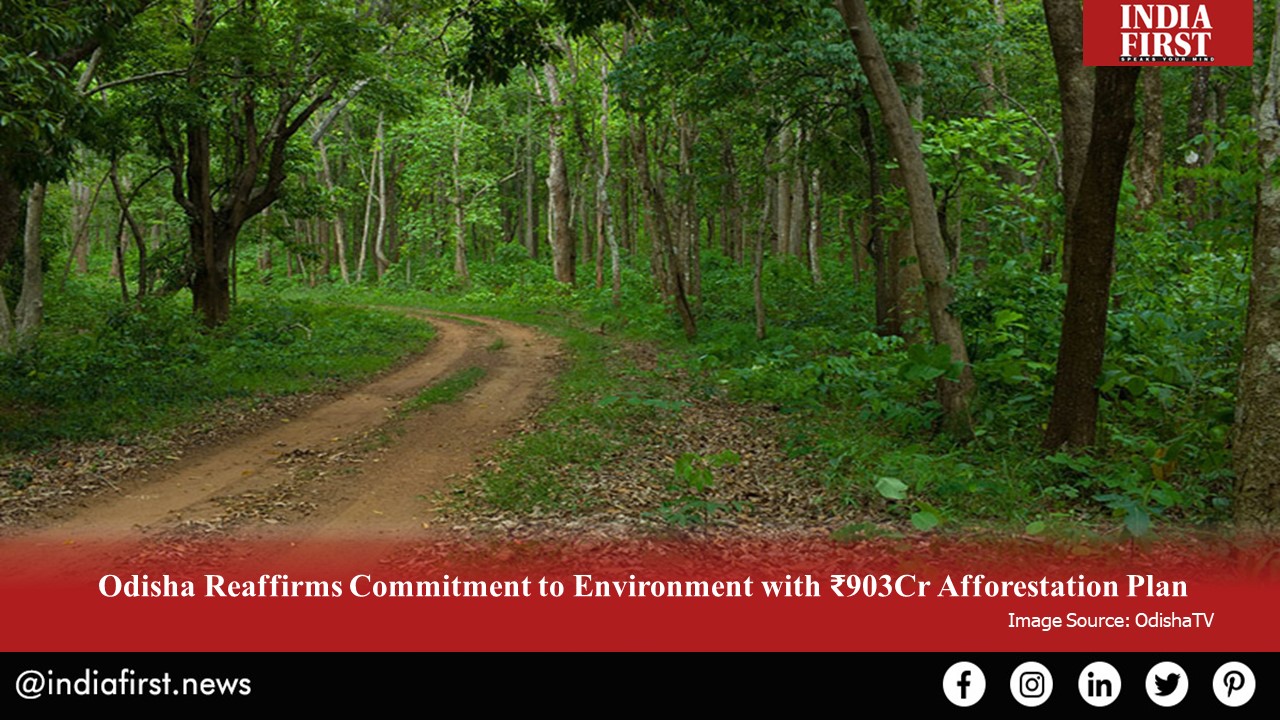 ₹903Cr Afforestation Plan