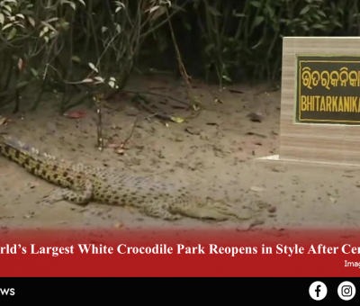 World’s Largest White Crocodile Park Reopens